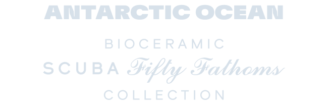 ANTARCTIC OCEAN